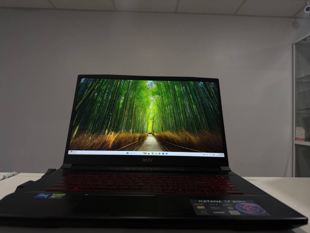 MSI Katana 17B12u