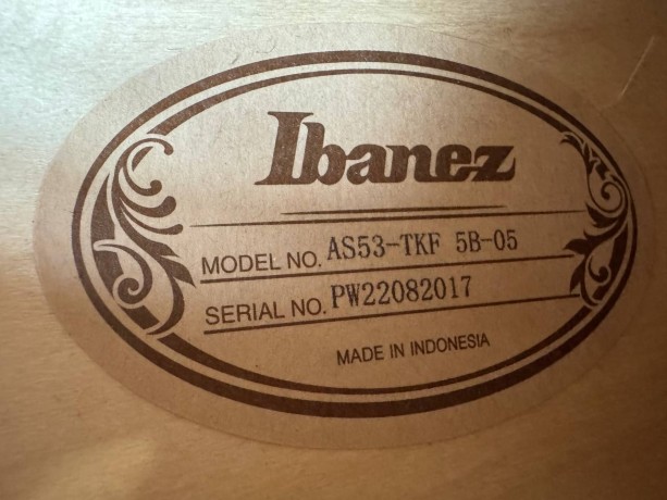Ibanez As53-Tkf