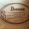 Ibanez As53-Tkf