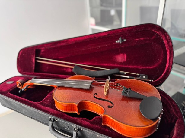 Goronok Альт Горонок Caprice 406Mm