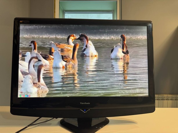 Viewsonic Vx2451mh-Led