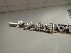 Jupiter 1011R Di Medici