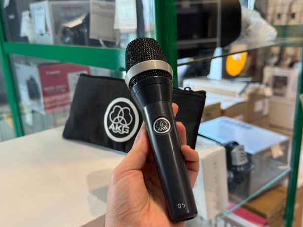 Akg D5
