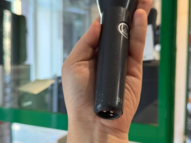 Akg D5