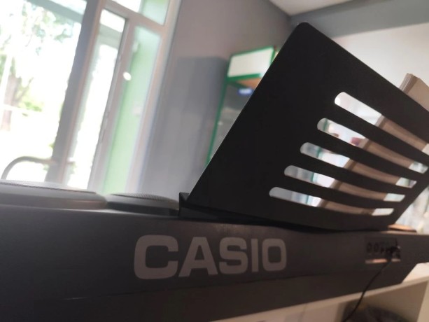 Casio Ctk 731