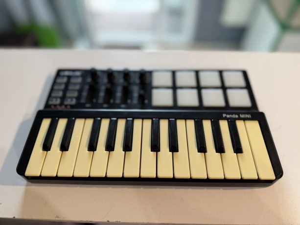 Wordle Panda Mini