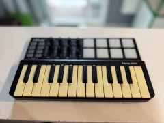 Wordle Panda Mini