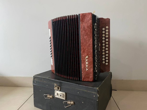 Чайка Шуйская