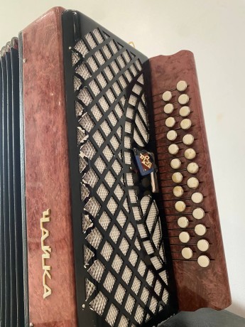 Чайка Шуйская