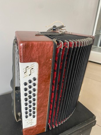 Чайка Шуйская