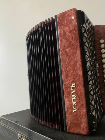 Чайка Шуйская