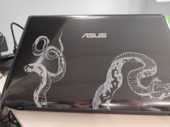 Asus A52d