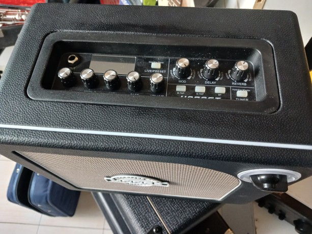 Mooer Dh01 Hornet 15Bk