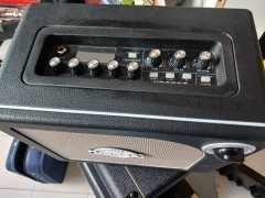Mooer Dh01 Hornet 15Bk