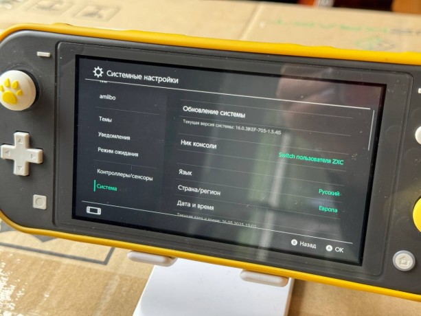 Nintendo Switch Lite