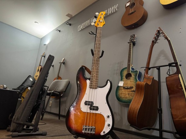 Fernandes Guitars Rpb-360