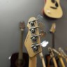 Grass Roots G-Am-55Ms R