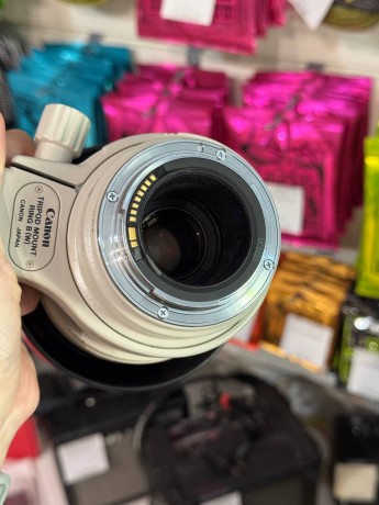 Canon Ef 100-400Mm F/4.5-5.6L Is Usm