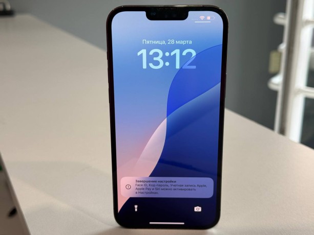 Apple iPhone 13 Pro Max