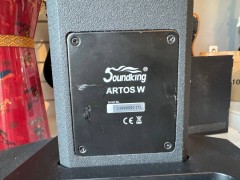 Soundking Artos-1000