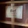 Cort Earth100-Nat
