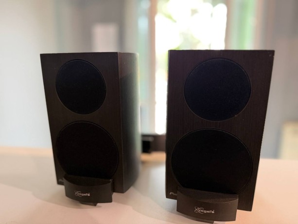 Pioneer S-31B-Lr-K