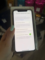 Apple iPhone X