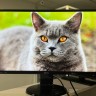 BenQ Gl2760-B