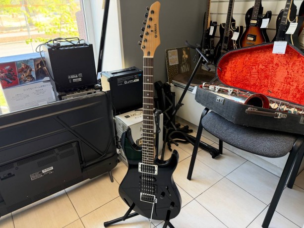 Yamaha Erg121