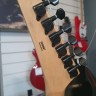 Hamer Xt Series Californian