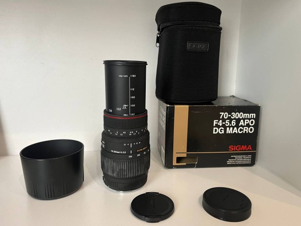 Sigma 700-300Mm F4-5.6 Apo Dg Macro