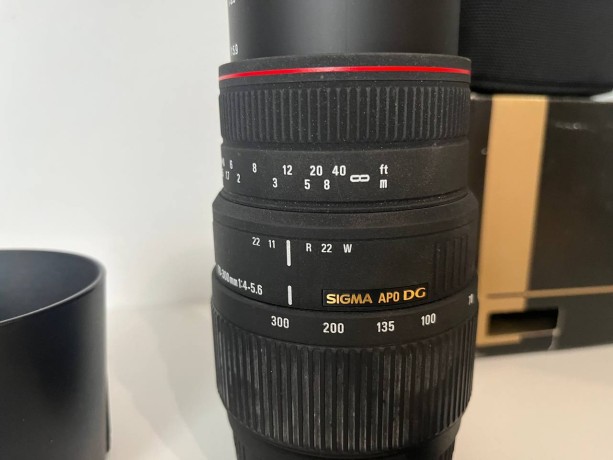 Sigma 700-300Mm F4-5.6 Apo Dg Macro