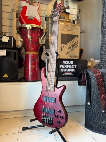 Schecter Stiletto Custom-6