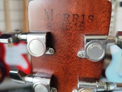 MORRIS W 40