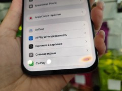 Apple 15 Pro Max