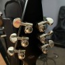 Epiphone Flying V Prophecy