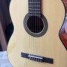 Cort Ac100-Sg