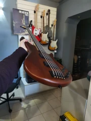 Ibanez GSR205B