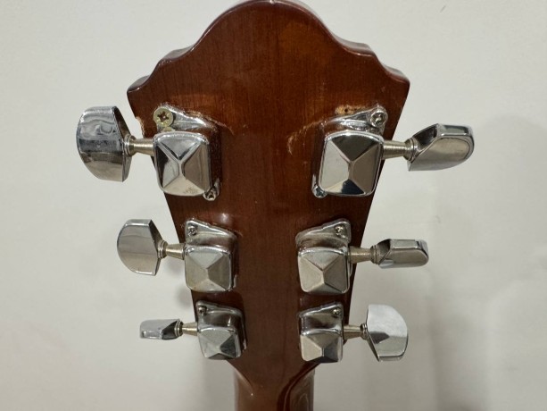 Ibanez V50njp