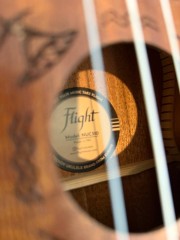 Flight Nuc310