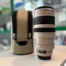 Canon Ef 100-400Mm F/4.5-5.6L Is Usm