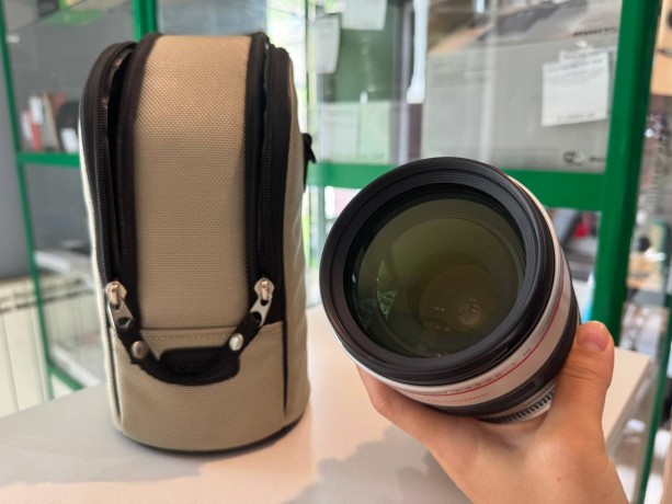 Canon Ef 100-400Mm F/4.5-5.6L Is Usm