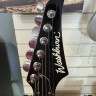 Washburn Wr150