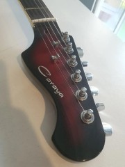 Caraya E219rds