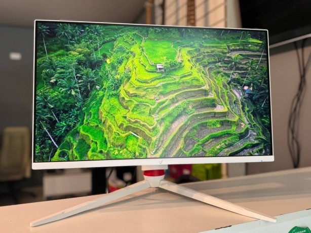 Ardor Gaming Portal Af24h1