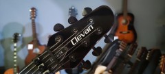 Clevan Cp-33Frtwr