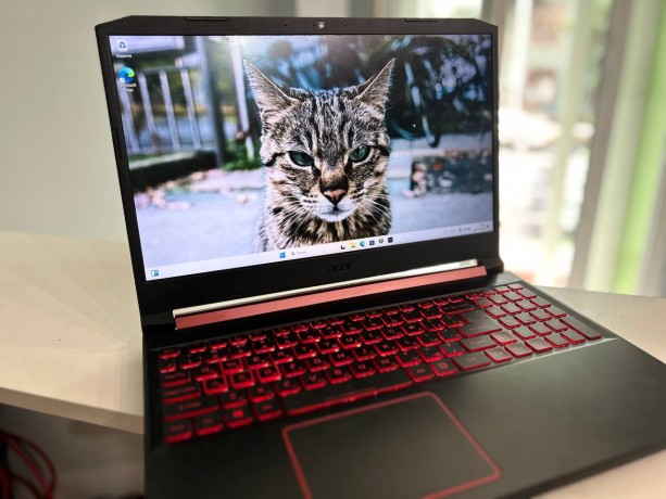 Acer Nitro An515-54