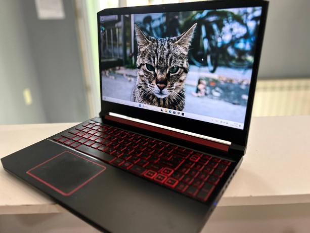 Acer Nitro An515-54