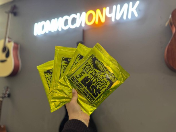 Ernie Ball 2832 Regular Slinky