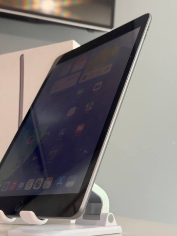 Apple iPad (7-Го Поколения) (2019)